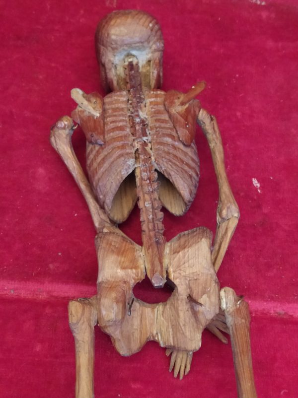squelette articulé en bois