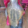 Statue saint anne