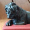 lion regardant sol