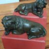 lions parires 2