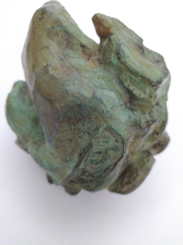 bronze anita tullio4